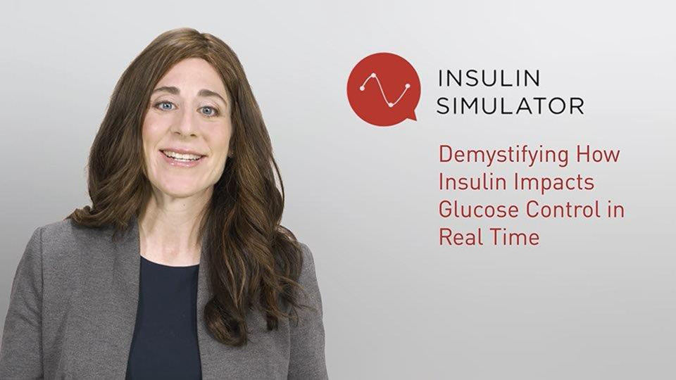 The Insulin Simulator Resources